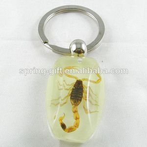 luminoso insectos reales de color ámbar con llavero escorpión - Product Image 4