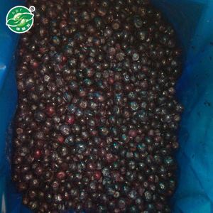 En vrac de masse Bon Goût organique délicieux congelés iqf bleuets prix - Product Image 1
