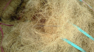 วิลาโคนิค เวียดนาม ใยมะพร้าวฟอกขาว ยาว 25 ซม. รุ่น 1202 - Product Image 5