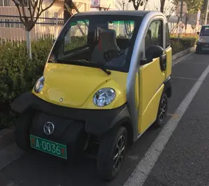 China famosa marca Dayun 2 asientos de coche eléctrico para calidad venta