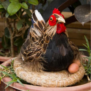 Wholesale yellow plush chicken feather decorations - Product Image 1