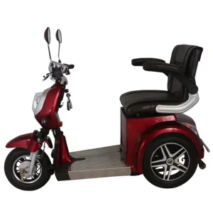 Triciclo Eléctrico para Adultos e-Trike