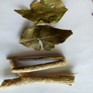 Murraya <span class=keywords><strong>paniculata</strong></span> seca, naranja, jazmín, sin procesar, alta calidad, hojas para té - Product Image 5