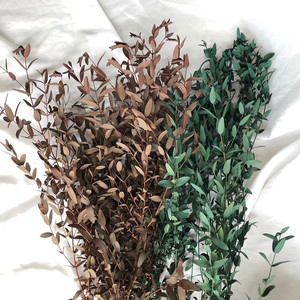 Fournisseur de fleurs séchées, feuilles d'<span class=keywords><strong>eucalyptus</strong></span> séchées et conservées, fleurs séchées en vrac pour bouquet de mariage - Product Image 4