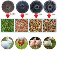 Machine à granulés d'aliments pour volailles 200 kg/h, machine à granulés de fumier de poulet, machine à granulés d'aliments pour animaux de compagnie
