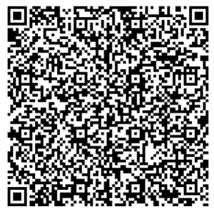 Deliziosa Scultura Vintage Traforata in Madreperla Nera e Conchiglia di Abalone per Spilla in Argento, Fermaglio per Capelli, Ciondolo - Product Image 6