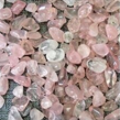 Quartz rose