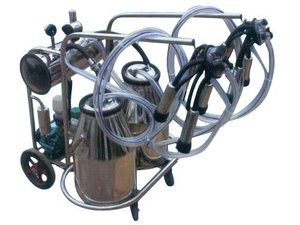Ordeñadoras pequeñas para <span class=keywords><strong>vacas</strong></span>, en <span class=keywords><strong>venta</strong></span> - Product Image 6