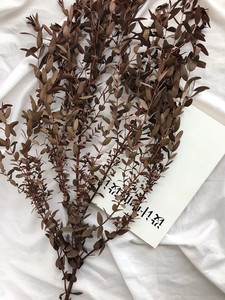 Fournisseur de fleurs séchées, feuilles d'<span class=keywords><strong>eucalyptus</strong></span> séchées et conservées, fleurs séchées en vrac pour bouquet de mariage - Product Image 6