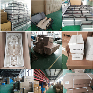 מודל אימון החייאה מתקדם ADA-CPR100-A, חצי גוף, עשוי PVC, עם משוב אור LED, עבור בית ספר לרפואה - Product Image 6