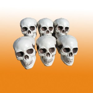 Cabeza de esqueleto humano para Halloween, esqueleto aterrador, cabeza de plástico, esqueleto de Halloween - Product Image 5