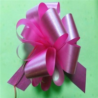 Fabricante de Lazos de Plástico para Regalos
