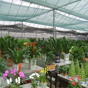 Factory Price HDPE agricultural sunshade net/net shade to air shipping - Product Image 3