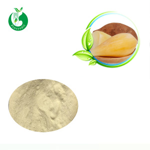 <span class=keywords><strong>Poudre</strong></span> <span class=keywords><strong>de</strong></span> racine <span class=keywords><strong>de</strong></span> yazin naturelle, 1 kg, alimentaire, Soluble dans l'eau - Product Image 2