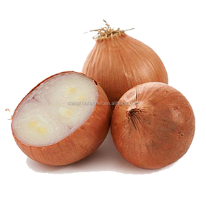 Top Quality Chinese <strong>Onion</strong> for Sale - Product Image 5