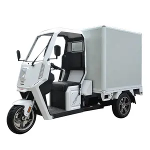 Tricycle électrique pour adulte, camion à 3 roues, vente en ue aux pays essence