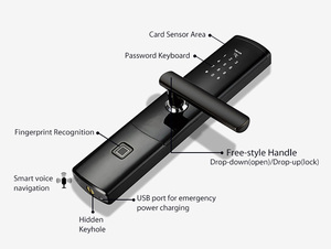 <span class=keywords><strong>Vida</strong></span> inteligente biométrico eléctrica cerradura <span class=keywords><strong>de</strong></span> la puerta mango WiFi control remoto <span class=keywords><strong>de</strong></span> madera/puertas <span class=keywords><strong>de</strong></span> seguridad - Product Image 3