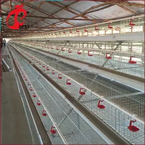 Différents types de cages de poulet en treillis métallique pour les couches du kenya
