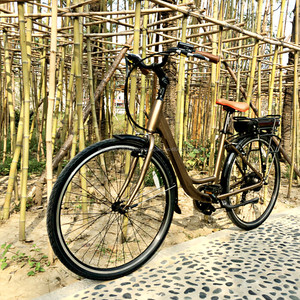 Caniche, 700c <span class=keywords><strong>Chica</strong></span> <span class=keywords><strong>bicicleta</strong></span> eléctrica alemania bicicletas para la venta - Product Image 2