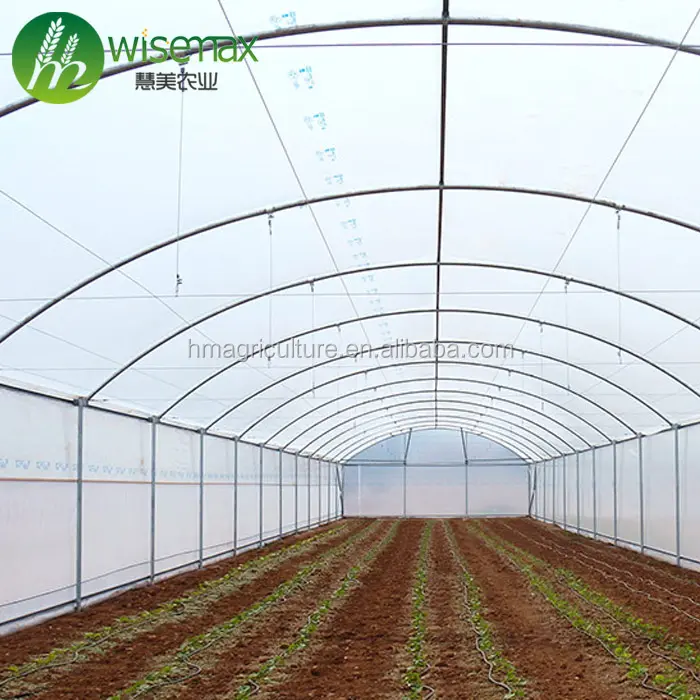 Diseño profesional impermeable de alta túnel agricultura de efecto invernadero