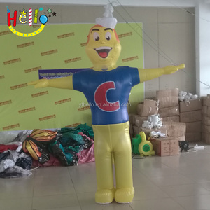 Hot Sale Inflatable Mascot Bag Character Costume - Product Image 4