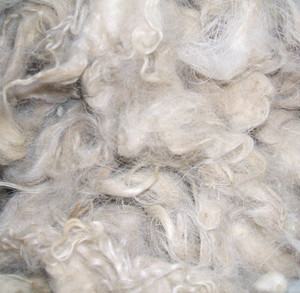 סיטונאי זול צמר סיבי שטיח גלם כבשים צמר - Product Image 2