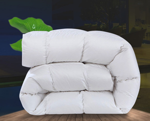 Blanc goosed <span class=keywords><strong>couette</strong></span> en <span class=keywords><strong>duvet</strong></span> <span class=keywords><strong>couette</strong></span> - Product Image 2