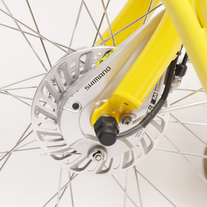 Vélo électrique TXED 36V avec grand panier, moteur puissant de 250W, batterie au lithium, cadre en acier et alliage d'aluminium, vélo électrique de livraison - Product Image 4