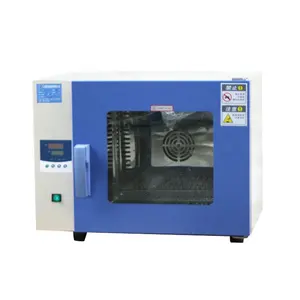 China Digital Industrial Hot Air Vacuum Drying Oven