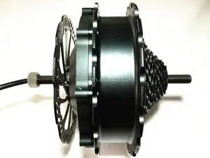 5:1 planetary gear 1000 watt hub motor