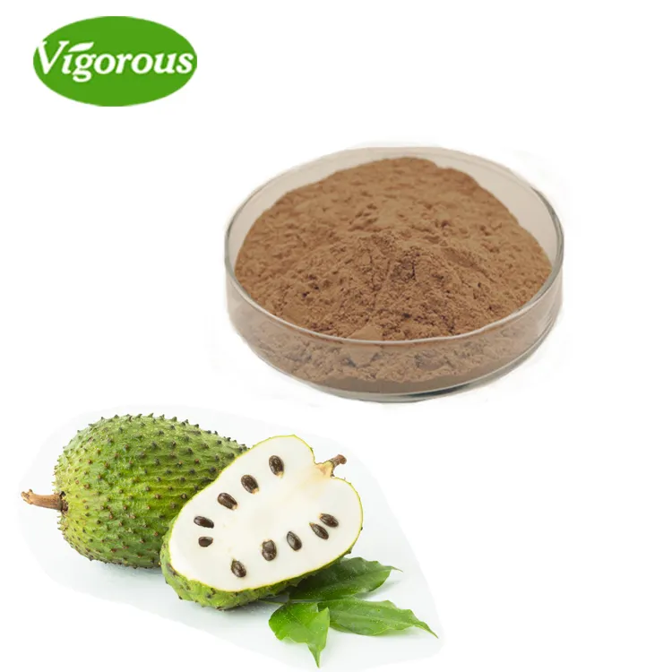 Health Natural Dried 10:1 Graviola Soursop Leaves Fruit Extract Powder