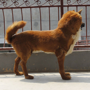 OEM mevcut yaşam boyutu gerçekçi köpek manken için satış - Product Image 5
