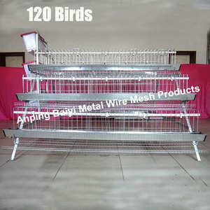 jaula <span class=keywords><strong>de</strong></span> pollo para gallinas con sistema <span class=keywords><strong>de</strong></span> <span class=keywords><strong>agua</strong></span> automático - Product Image 4