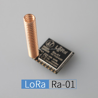 Module de transmission sans fil à spectre étalé LoRa SX1278 433M 10KM Ra-01, vente chaude