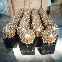 Буровые долота IADC 537 Tricone Rock Roller, 7 1/2'' (190,5 мм), кованые, для роторного бурового оборудования
