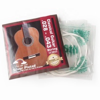 Senar Gitar Senar Klasik Bening, Senar Gitar Paket Larc De Ciel