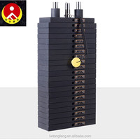 Máquina cruzada de cables de entrenamiento funcional con pilas de peso duales de 200 lb del servicio postventa de fábrica de China