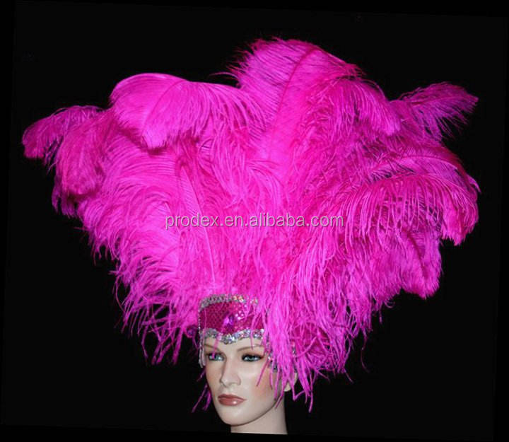 サンバ衣装用のダチョウの羽根 卸売 ダチョウの羽根| Alibaba.com