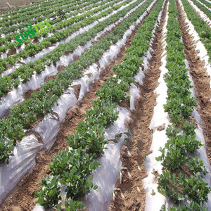 1.25 mil Trắng nông nghiệp <span class=keywords><strong>mulch</strong></span> phim 100% New LDPE Crop bảo vệ cỏ dại rào cản lớp phủ - Product Image 4