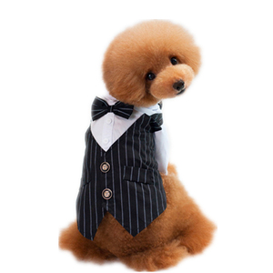 Migliori Abiti per Cani Maschi a Righe Stile Smoking - Product Image 3