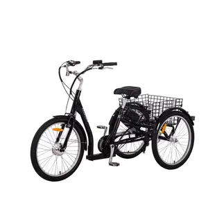 Wheel Electric Tricycle Shopping Adult Electric Bikes 7 Speeds 3 200 - 250W CN;ZHE 1950*810*1150mm Cargo Open 36V Ce