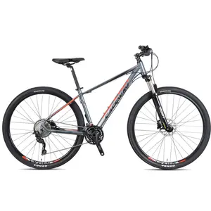 Produits d'importation chinois Vélo de montagne 29 pouces avec pneus larges, groupe 29 Vélo de montagne à disque, vélo de montagne pour hommes <span class=keywords><strong>Sport</strong></span> - Product Image 1