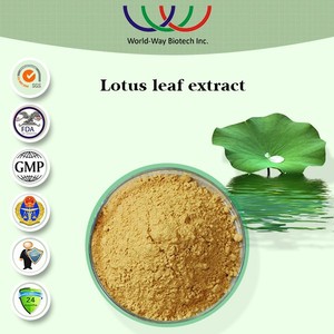 Kostenlose proben lotusblatt-extrakt nuciferin, 1% 2% nuciferin pulver lotusblatt extrakt lieferant - Product Image 2