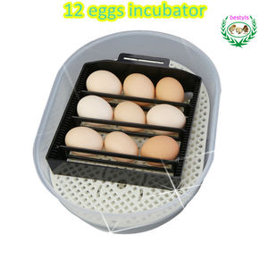 Nouveau design 12 incubateur d'oeufs Mini incubateur d'oeufs de poulet Turquie partie clé moteur puissance incubateur de poulet - Product Image 3