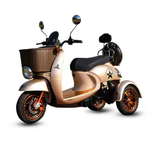 500W Di Động Ba Bánh Xe Trung Quốc Electric Scooter Cho Người Cao Tuổi