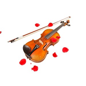 (TL007-4) Al Por Mayor Venta de La Fábrica hecho a mano <span class=keywords><strong>barroco</strong></span> violines para la venta, violín francés - Product Image 2
