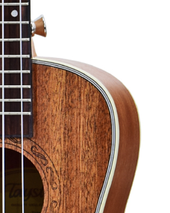 Instrumento musical de China, fabricante OEM Tayste, ukelele de cuatro estaduras de 23 pulgadas, precio barato - Product Image 4