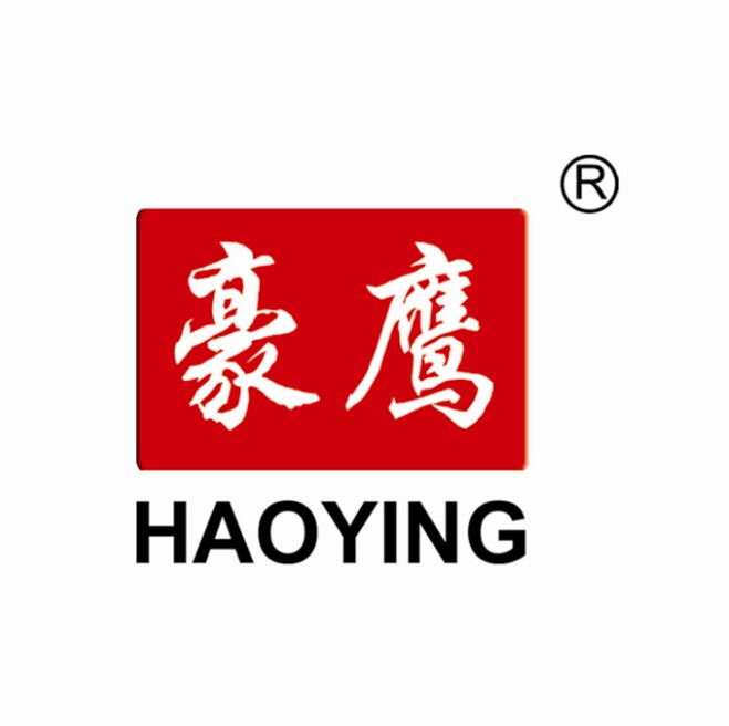 Yongkang Haoying Electric Appliance Co., Ltd. logo