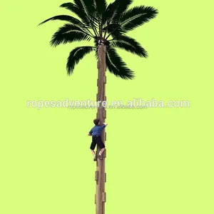 coconut tree climbing device