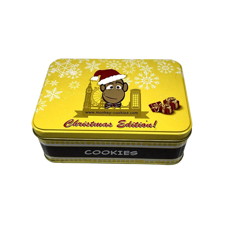 Özel kurabiye kutusu can konserve gıda teneke ambalaj metal kutular kabartmalı kurabiye kutusu kavanoz